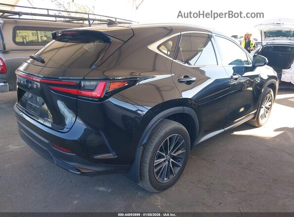2T2GDCAZ5RC015769 2024 LEXUS NX 250 Black Հետևի աջ