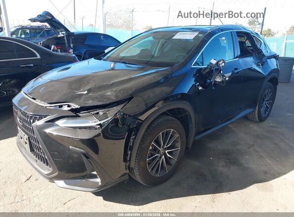 2T2GDCAZ5RC015769 2024 LEXUS NX 250 Black Առջևի ձախ երեք քառորդ տեսարան