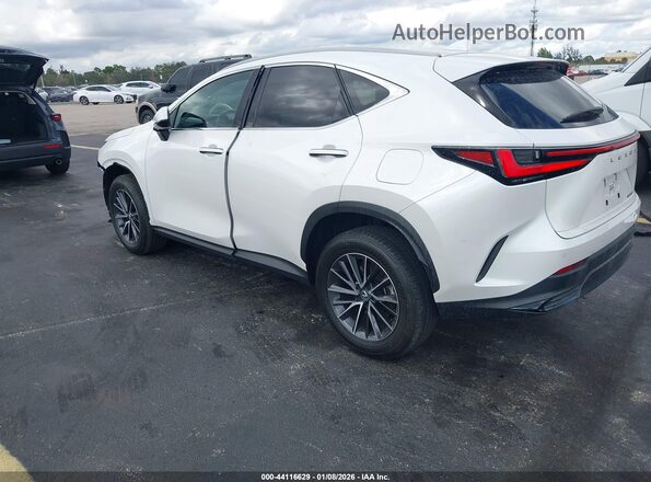 2T2GDCAZ6SC016211 2025 LEXUS NX 250 White Հետևի ձախ
