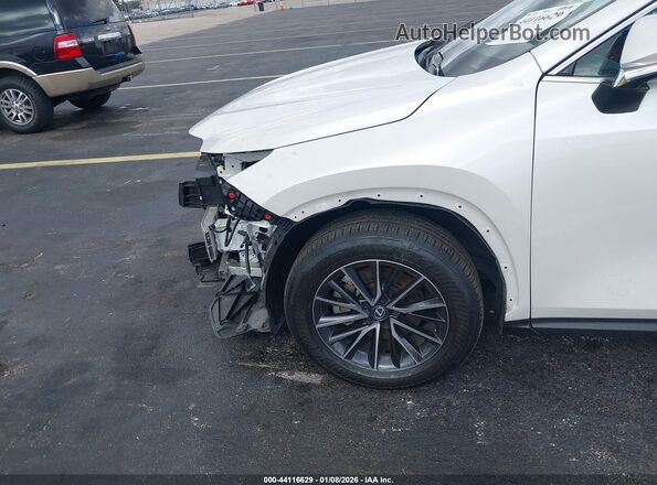 2T2GDCAZ6SC016211 2025 LEXUS NX 250 White Դիմացի տեսք