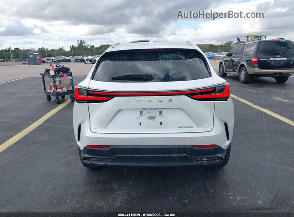 2T2GDCAZ6SC016211 2025 LEXUS NX 250 White 