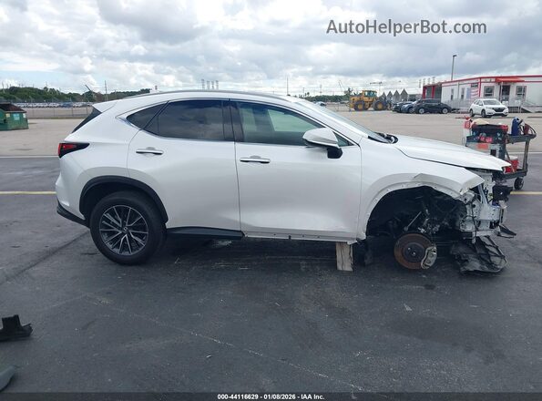 2T2GDCAZ6SC016211 2025 LEXUS NX 250 White Սալոնի հետևի տեսք