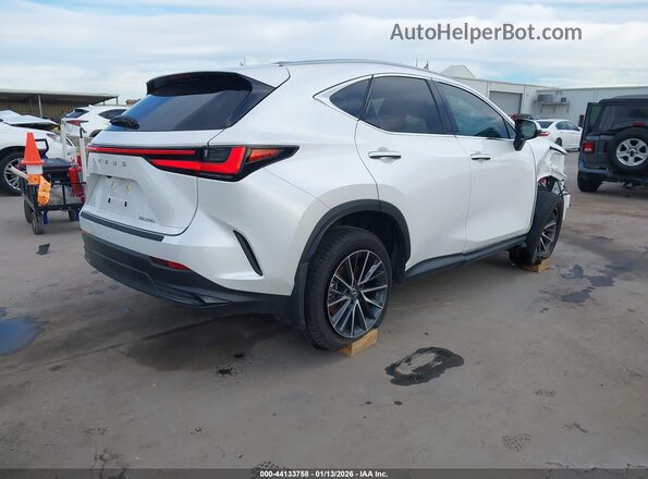 2T2GDCAZ8SC029848 2025 LEXUS NX 250 White უკანა მარჯვენა