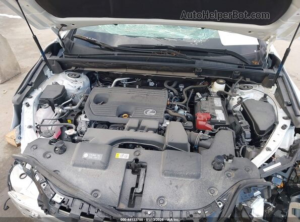 2T2GDCAZ8SC029848 2025 LEXUS NX 250 White უკანა ხედი