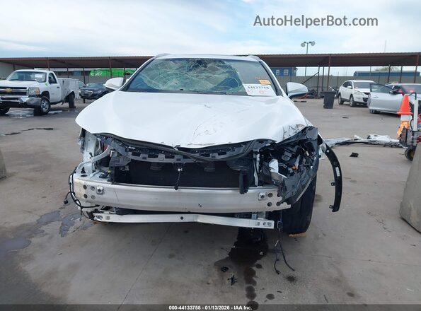 2T2GDCAZ8SC029848 2025 LEXUS NX 250 White უკანა სალონის ხედი