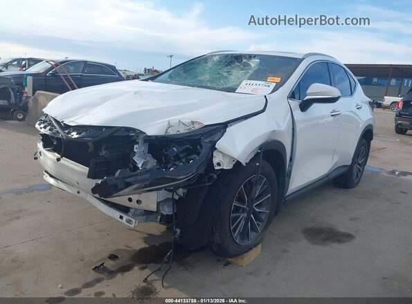 2T2GDCAZ8SC029848 2025 LEXUS NX 250 White წინა მარცხენა ხედი სამი მეოთხედიდან