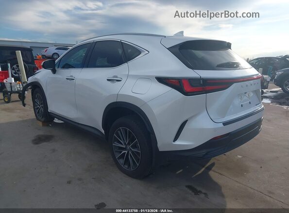 2T2GDCAZ8SC029848 2025 LEXUS NX 250 White უკანა მარცხენა