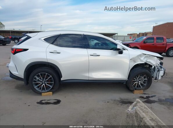 2T2GDCAZ8SC029848 2025 LEXUS NX 250 White სალონის 360-გრადუსიანი ხედი
