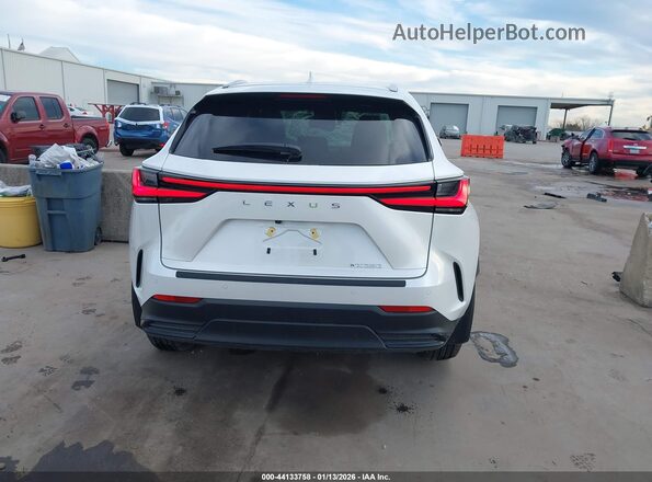 2T2GDCAZ8SC029848 2025 LEXUS NX 250 White 