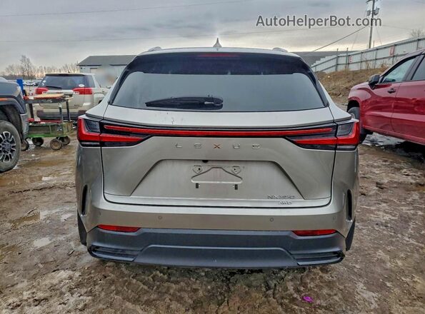2T2GGCEZ0RC051984 2024 LEXUS NX Silver Вид ззаду