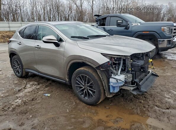2T2GGCEZ0RC051984 2024 LEXUS NX Silver Передня права чверть