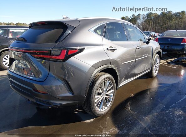 2T2GGCEZ1PC016173 2023 LEXUS NX 350 Gray Trasero derecho