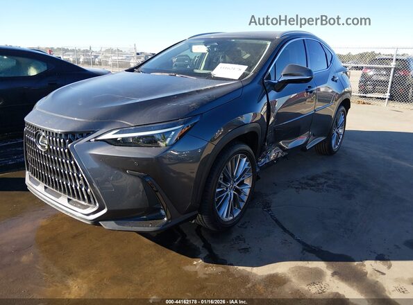 2T2GGCEZ1PC016173 2023 LEXUS NX 350 Gray Vista tres cuartos delantera izquierda
