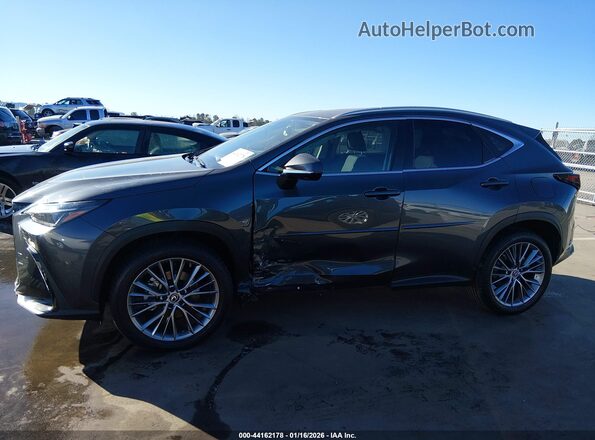 2T2GGCEZ1PC016173 2023 LEXUS NX 350 Gray Vista interior de 360 grados