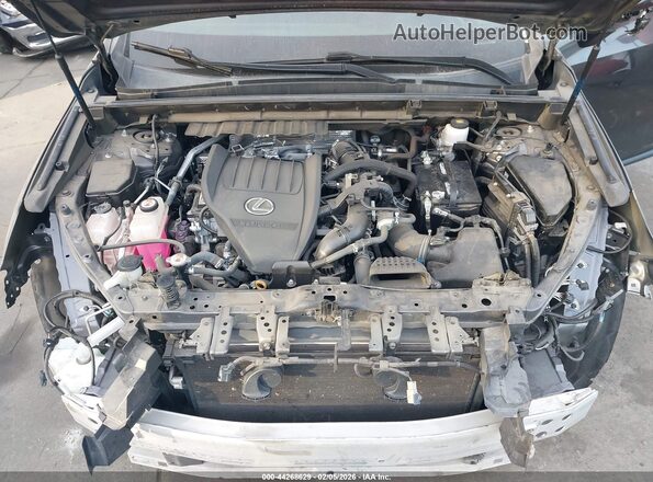2T2GGCEZ2PC029322 2023 LEXUS NX 350 Gray Rear view