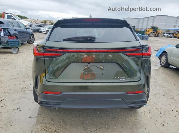 2T2GGCEZ3NC007293 2022 LEXUS NX Green Rear view