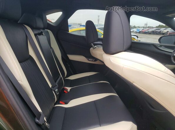2T2GGCEZ3NC007293 2022 LEXUS NX Green Rear interior view