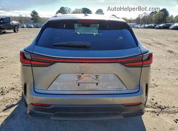 2T2GGCEZ3RC054068 2024 LEXUS NX Silver Вид ззаду