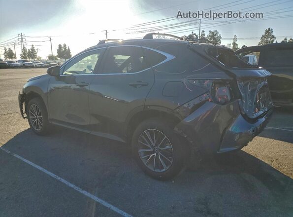 2T2GGCEZ5NC014004 2022 LEXUS NX Gray Задня ліва чверть