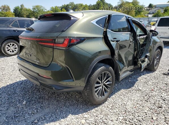 2T2GGCEZ5PC020162 2023 LEXUS NX Green 