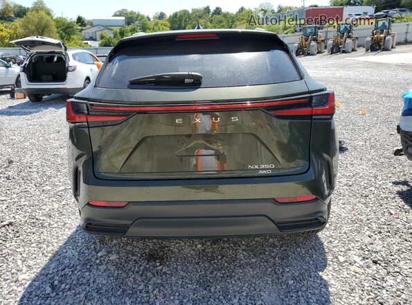 2T2GGCEZ5PC020162 2023 LEXUS NX Green 