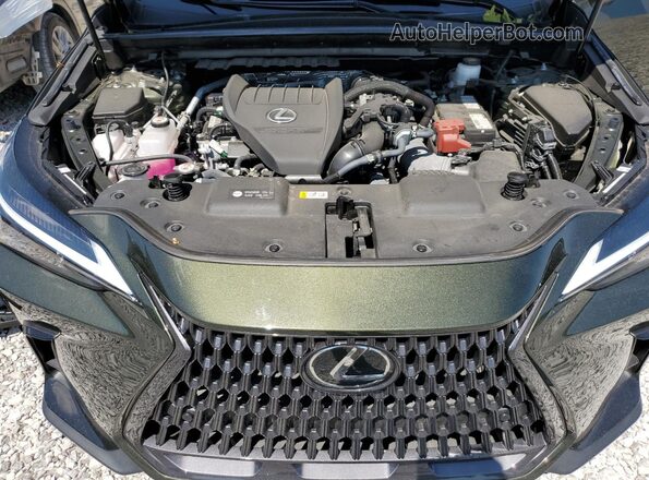 2T2GGCEZ5PC020162 2023 LEXUS NX Green 