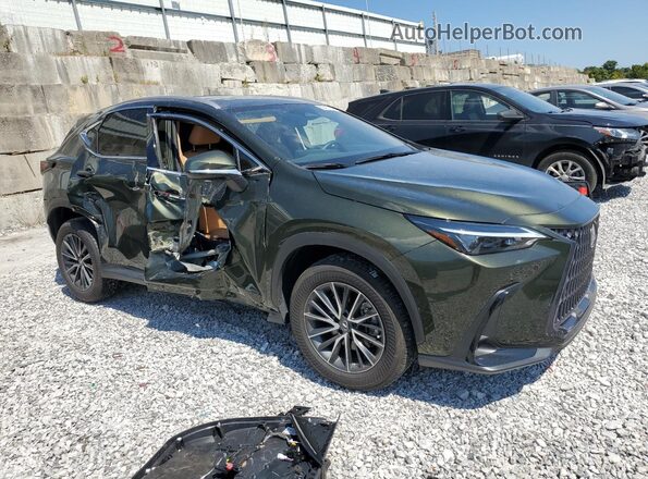 2T2GGCEZ5PC020162 2023 LEXUS NX Green 