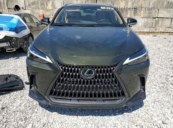 2T2GGCEZ5PC020162 2023 LEXUS NX Green 