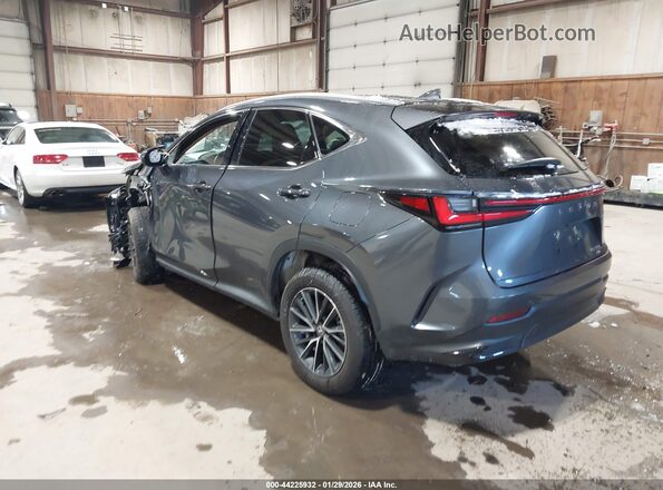 2T2GGCEZ7SC083076 2025 LEXUS NX 350 Gray Trasero izquierdo