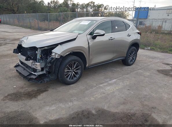 2T2GGCEZ8PC030488 2023 LEXUS NX 350 Gray Vista tres cuartos delantera izquierda