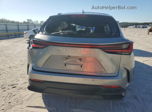 2T2GGCEZ8PC031575 2023 LEXUS NX Silver Вид ззаду