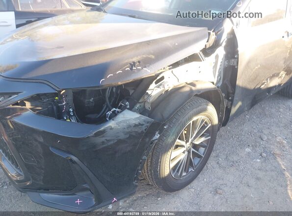 2T2GGCEZ8SC070451 2025 LEXUS NX 350 Black Front view