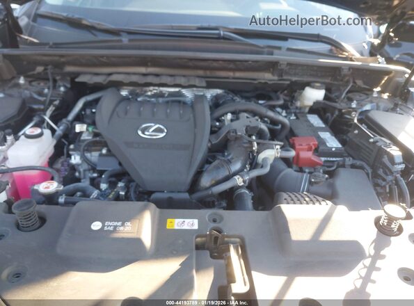 2T2GGCEZ8SC070451 2025 LEXUS NX 350 Black Rear view
