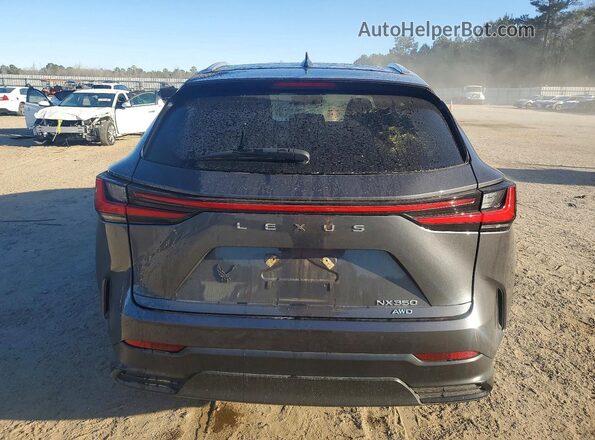2T2GGCEZ9NC014233 2022 LEXUS NX Gray Вид ззаду