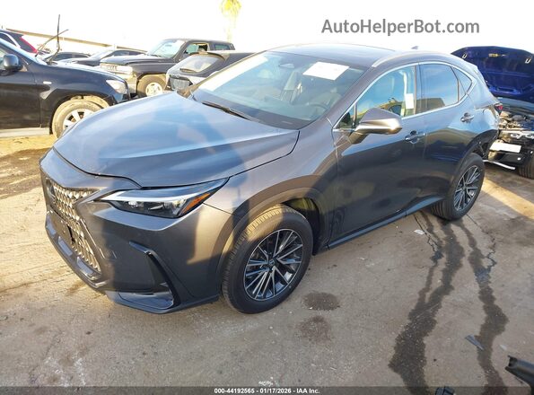 2T2GGCEZXTC095093 2026 LEXUS NX Gray Front left