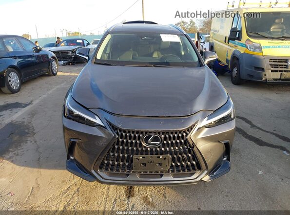 2T2GGCEZXTC095093 2026 LEXUS NX Gray Instrument cluster view