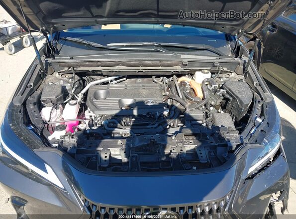 2T2GKCEZ0SC042142 2025 LEXUS NX 350H Gray Rear view