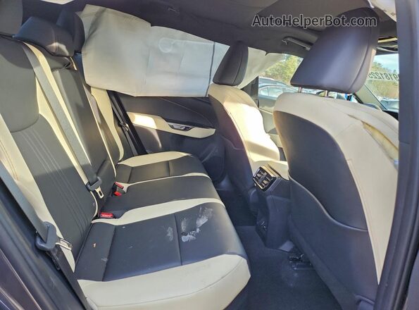 2T2GKCEZ2PC011546 2023 LEXUS NX Черный Вид задней части салона