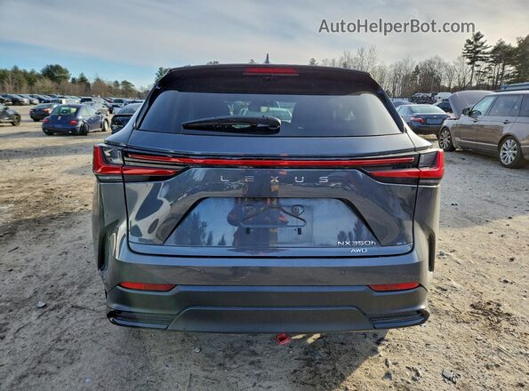 2T2GKCEZ2PC011546 2023 LEXUS NX Черный Вид сзади