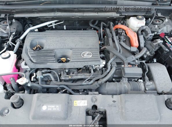 2T2GKCEZ2SC035791 2025 LEXUS NX 350H Black უკანა ხედი
