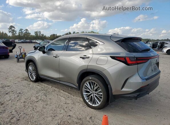 2T2GKCEZ5PC012786 2023 LEXUS NX Silver Задня ліва чверть