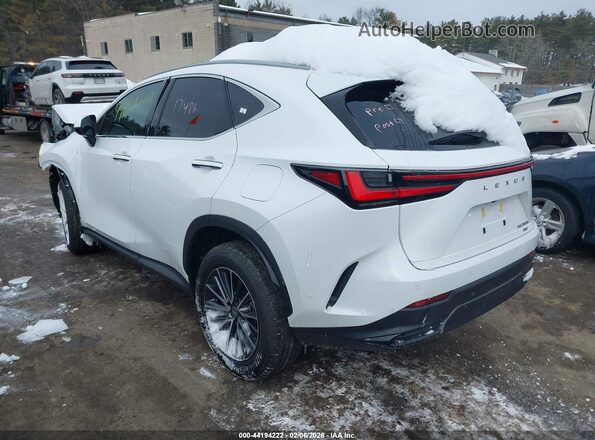 2T2GKCEZ6TC058573 2026 LEXUS NX 350H White უკანა მარცხენა