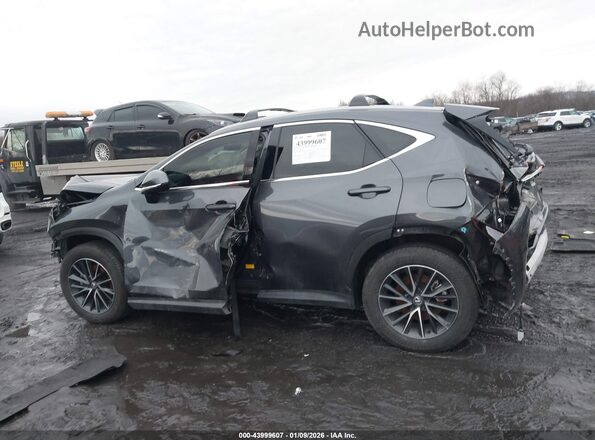 2T2GKCEZ7SC041067 2025 LEXUS NX 350H Gray Widok wnętrza 360 stopni