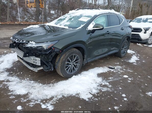 2T2GKCEZ9RC029769 2024 LEXUS NX 350H Green Przód lewy