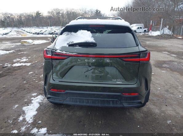 2T2GKCEZ9RC029769 2024 LEXUS NX 350H Green 