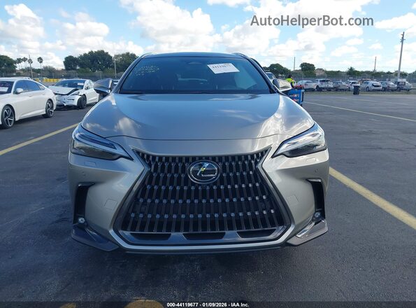 2T2HGCEZ0SC076281 2025 LEXUS NX 350 Gray Vista interior trasera