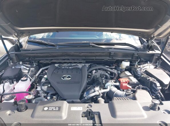2T2HGCEZ0SC076281 2025 LEXUS NX 350 Gray Vista trasera
