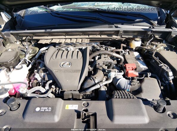 2T2HGCEZ2PC025324 2023 LEXUS NX 350 Green Հետևի տեսք