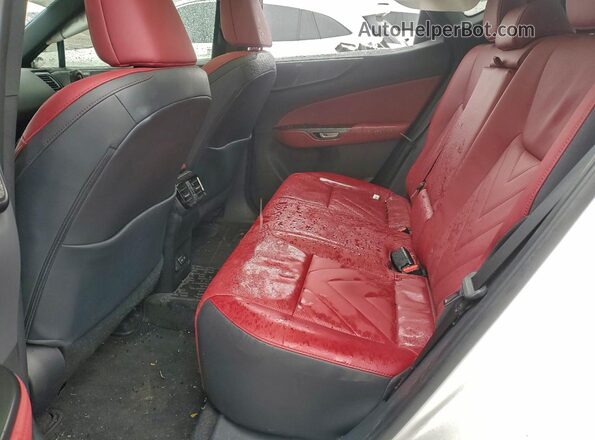 2T2HGCEZ7RC059004 2024 LEXUS NX White Հետևի նստատեղերի տեսք