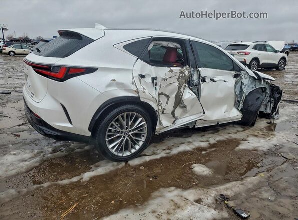 2T2HGCEZ7RC059004 2024 LEXUS NX White Հետևի աջ